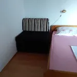 Stella *